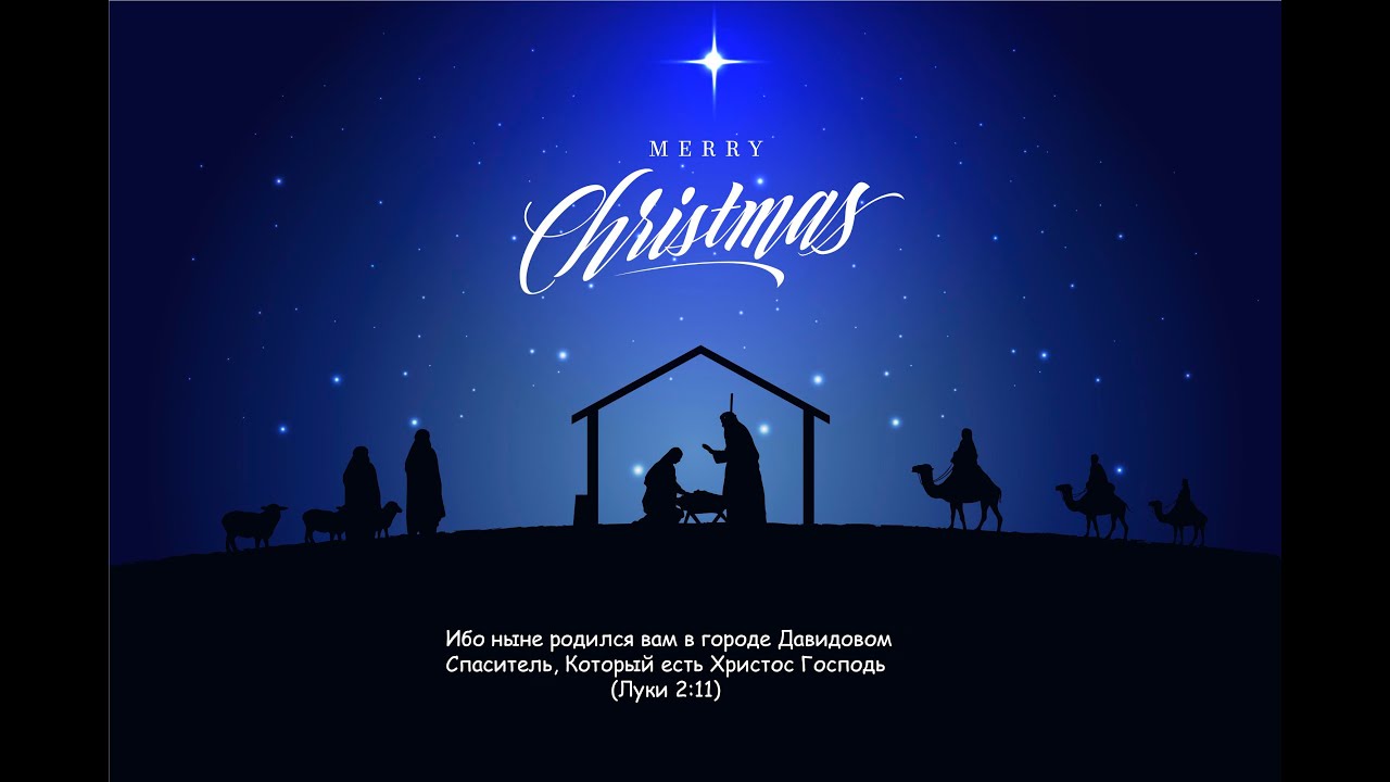 Львівське різдвяне купить