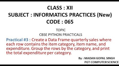 XII - IP Practical #3 : Create a Dataframe,Group it by category,Print total expenditure per category