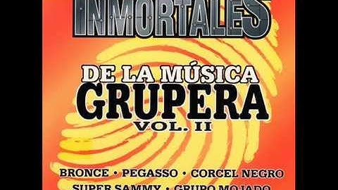 Los Bronce De Apodaca - Bailotea (1989)