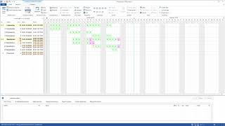 Rillsoft project management software - Variance analysis