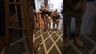 Celebrity June 7, 2024 Profile