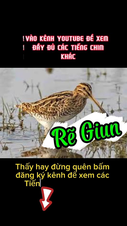 Tiếng rẽ giun file danh thu 2023