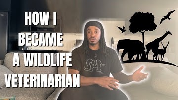 How I Became A Wildlife Veterinarian!