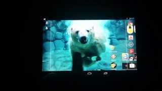 Polar Bear Live Wallpaper screenshot 3