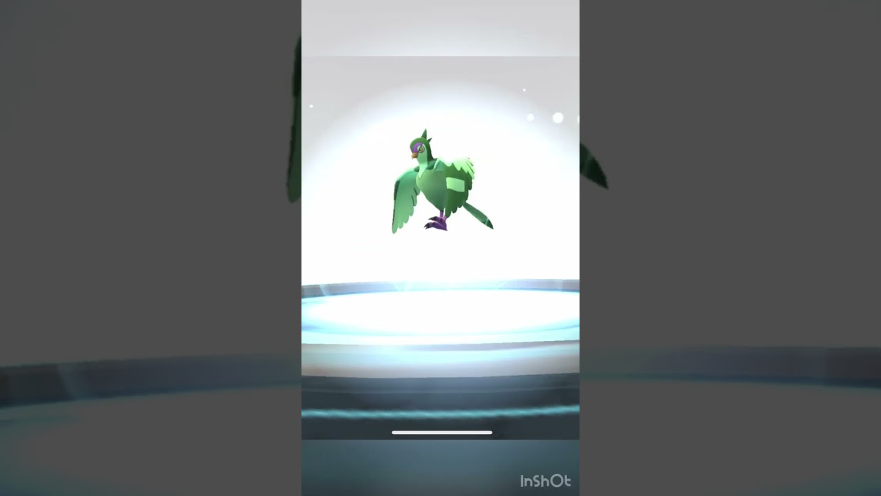 03/03/23 Shiny Pidove/Tranquill/Unfezant obtained ~PoGo Life~