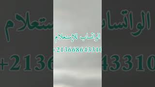 حل المال المرصود وكشف الكنوز والدفائن