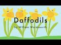 Daffodils poem by william wordsworth  i wandered lonely as a cloud
