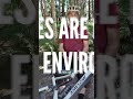 Are ebikes bad for the environment? 🌊🌱