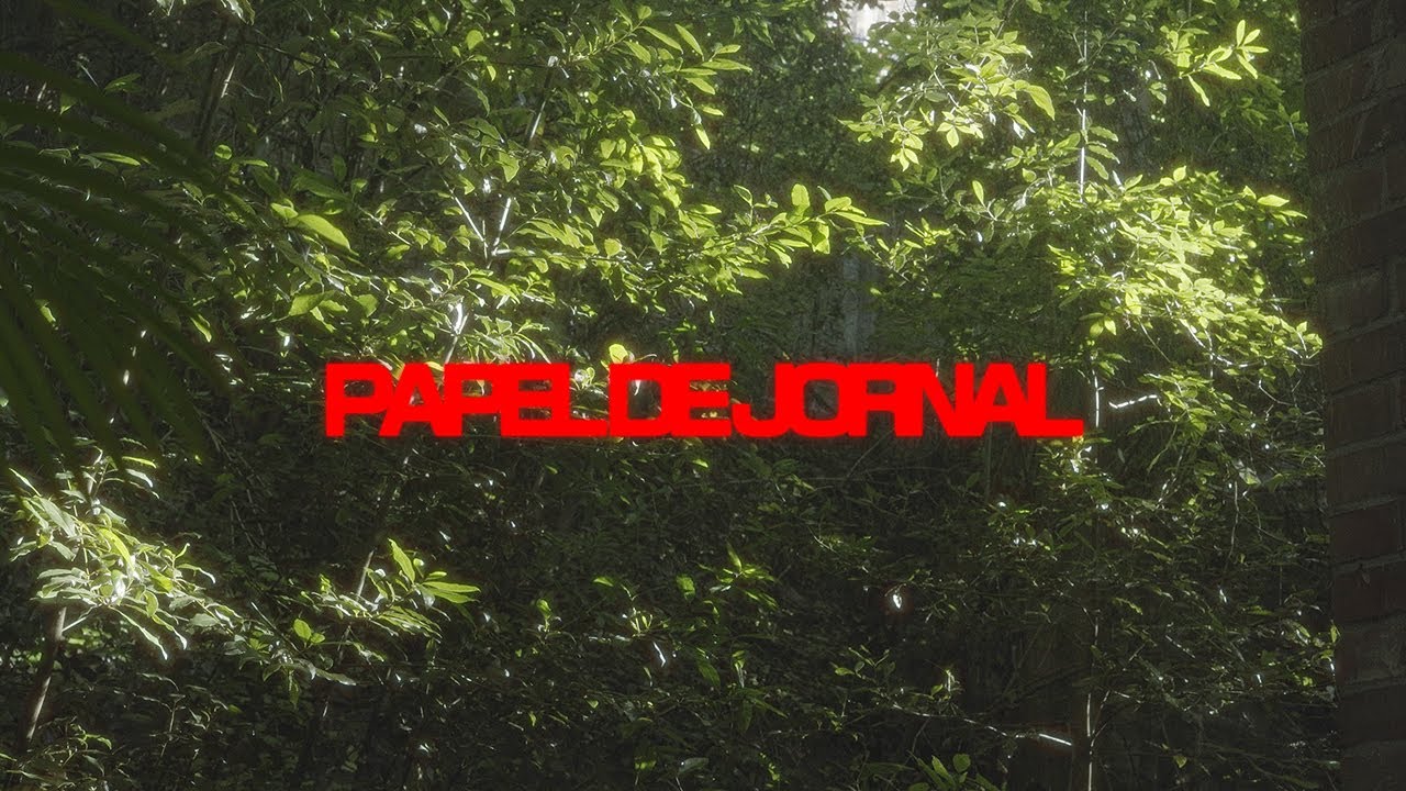 GANSO - Papel de Jornal
