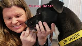 Valentine's Day Kissing Booth