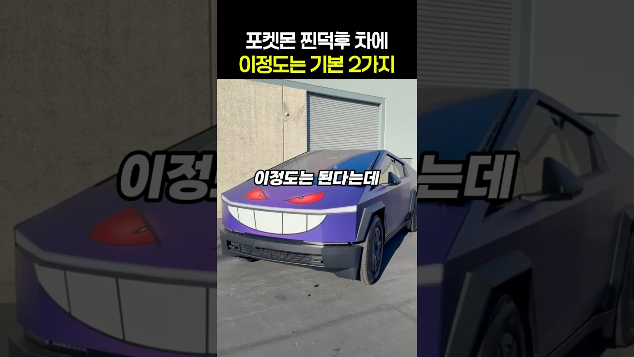 포켓몬 덕후들 안사기 힘든 차량템 2가지