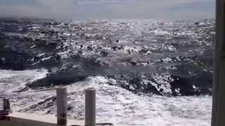 定期船あおしま、長浜港　⇒　青島港（20150813①）