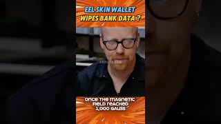 Can Eel Skin Wallet Wipe Bank Cards? ⚡🐟💳 Busted!