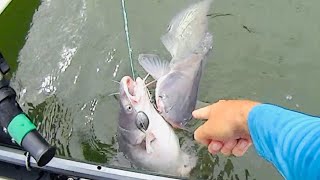 Catch MORE Fish Right Now With This EASY Technique