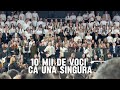 Doamne mă ridici când pe cale sunt căzut 🙏💔