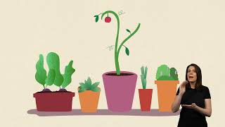 Small Actions, Big Difference: Biodiversity