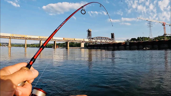 INSANE BATTLE!!! MY BIGGEST FISH EVER CAUGHT ON AN ULTRALIGHT ROD!!!