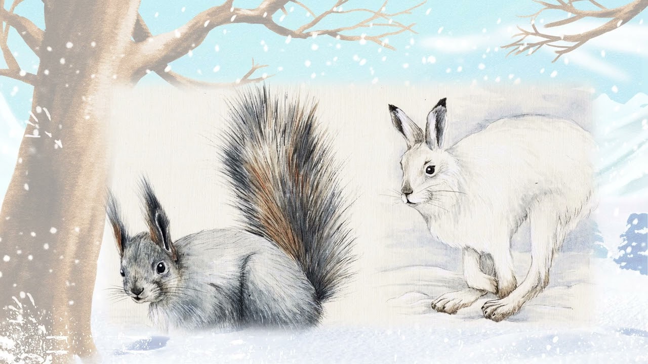 Сладков Н Как заяц всех напугал - YouTube