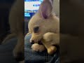 January 10, 2024