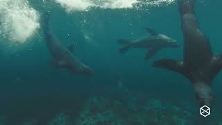 Bantry Bay Film High Quality