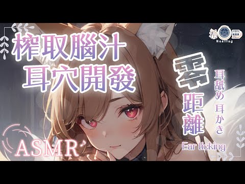 ASMR ｜榨取！耳穴開發腦高潮刺激挑戰❤️｜耳はむ 耳舐め｜ Ear licking  Ear massage【Onee-san Voice/BINAURAL】