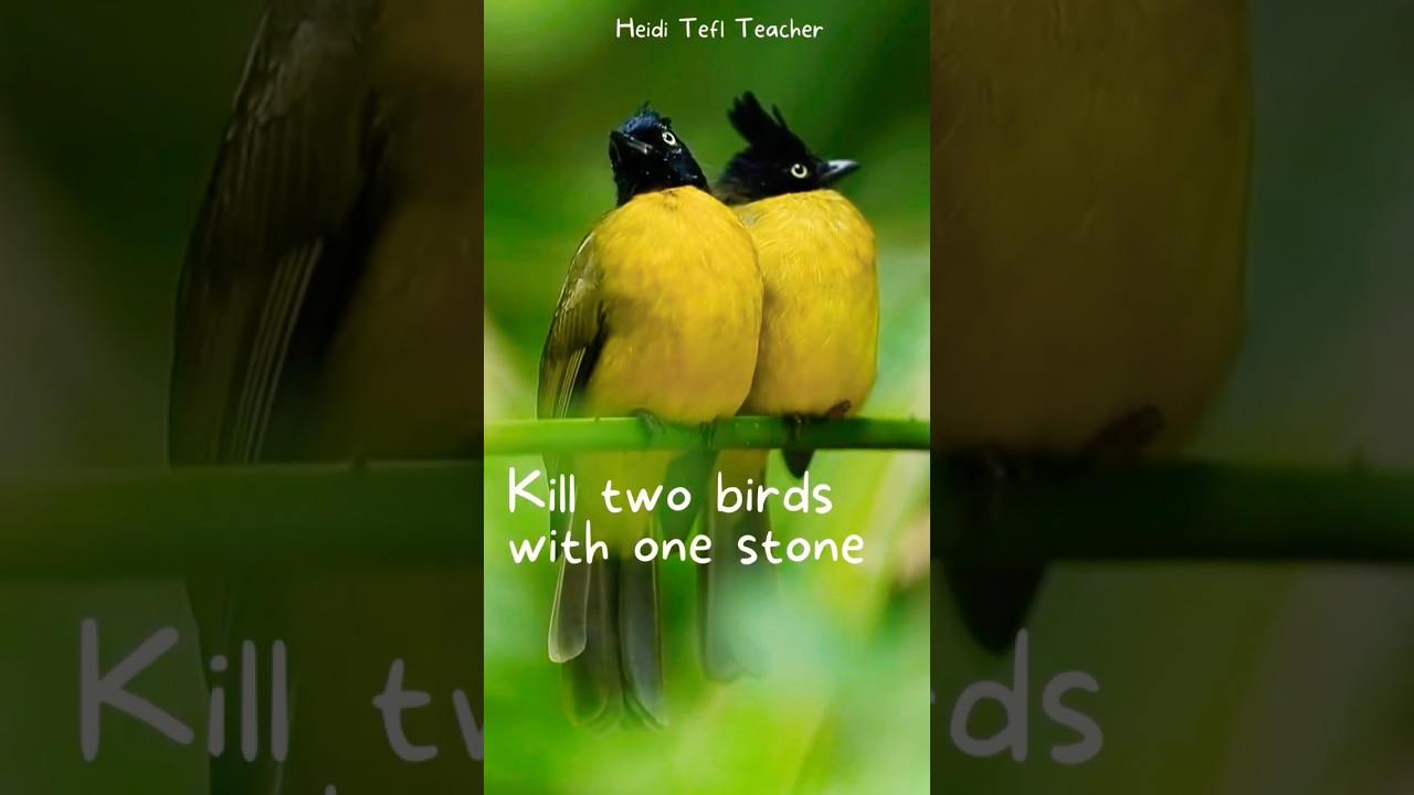 Kill two birds with one stone -  English Idiom Explained for ESL Learners  #english #idioms