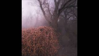 Download Lagu THE DEVIL'S TRADE - Nincs Szennyezetlen Szép [FULL ALBUM] 2025 MP3