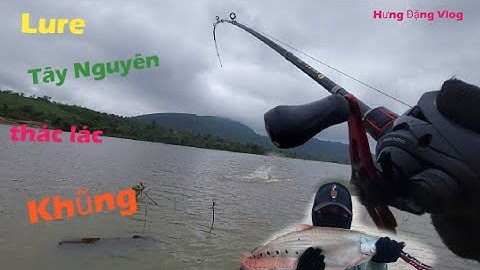 Lure cá thác lác tây nguyên.Đứng một chổ mà lên toàn hàng khũng