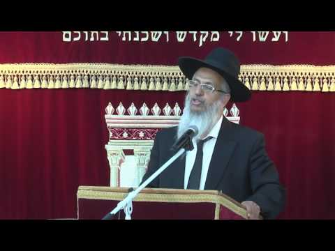 מוקצה חלק ד | הלכות שבת | הרב יורם סרי