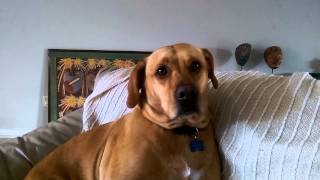 Breaking the news to Pluto