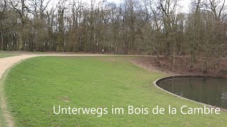 Der Bois de la Cambre in Brüssel | C'est ma vie à Bruxelles #19