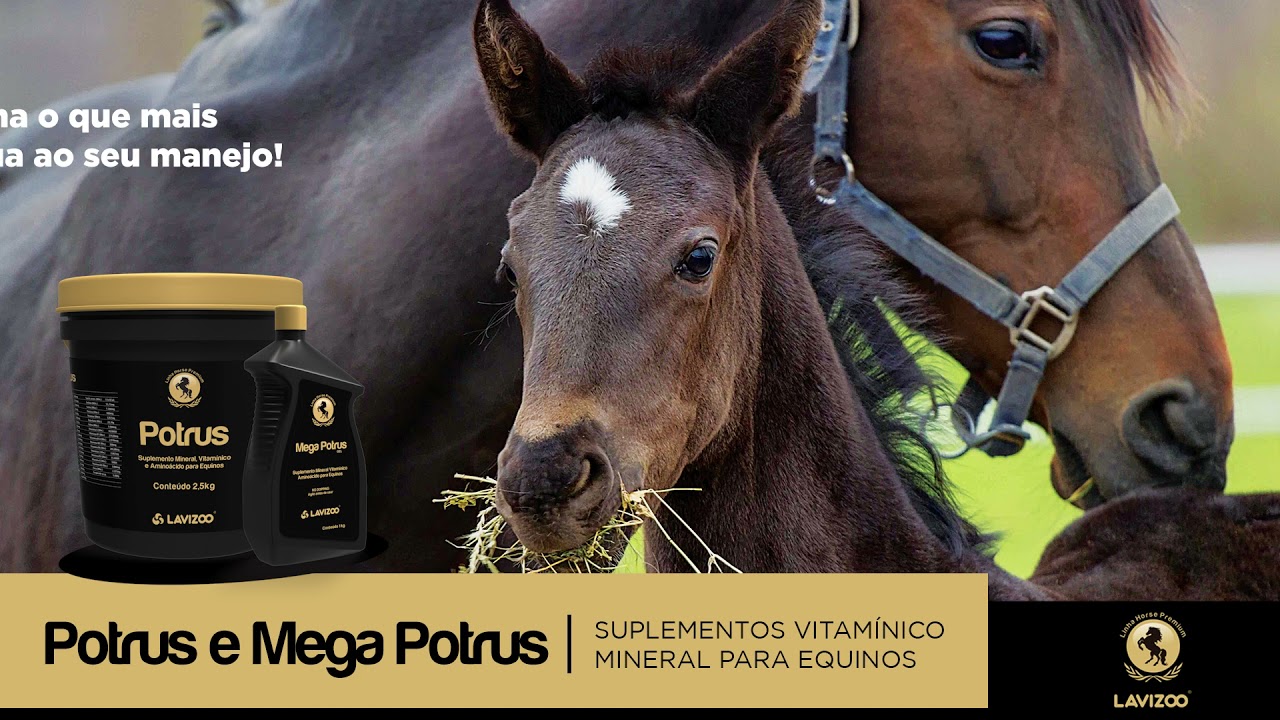 Potrus e Mega Potrus