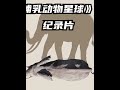 很多人讨厌的斑鬣狗,其实由雌性统治且富含爱心 #哺乳动物星球 #哺乳动物星球让人震撼
