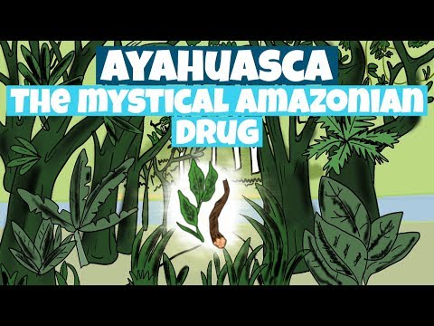 Ayahuasca- The Mystical Amazonian Drug (DMT- Dimethyltryptamine)
