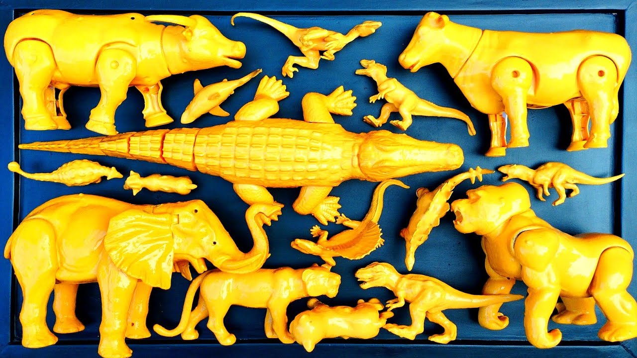 🔴Clean Up Muddy Dinosuar Animals❗Giganotosaurus, Tyranosaurus, Alosaurus, Velociraptor, Stegosaurus