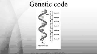 Genetic code