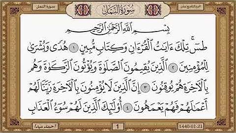 سورة النمل، مكتوبة، حسن صالح، بدون اعلانات.