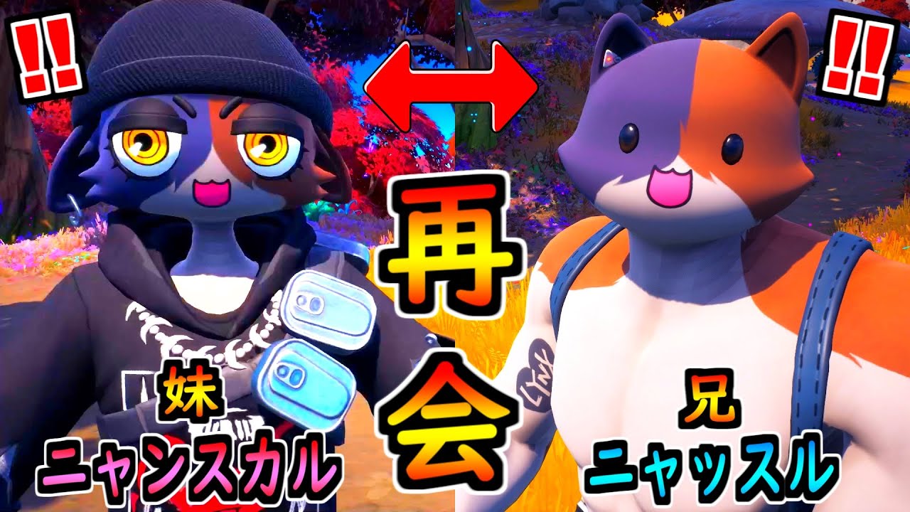 ニャンスカルがニャッスルと再会した 茶番 フォートナイト Youtube