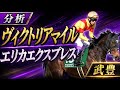 【武豊】ヴィクトリアマイル エリカエクスプレス前走の敗戦が生きてくるかが鍵