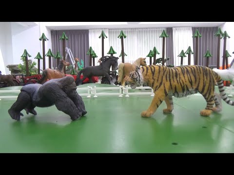 <strong>Gorilla</strong> vs Tiger