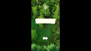 🌳 Rooting for a Greener Utah #shorts