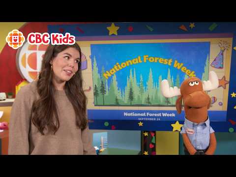 CBC Kids Celebrates September 24, 2026 | National Forest Week 🌲🌳