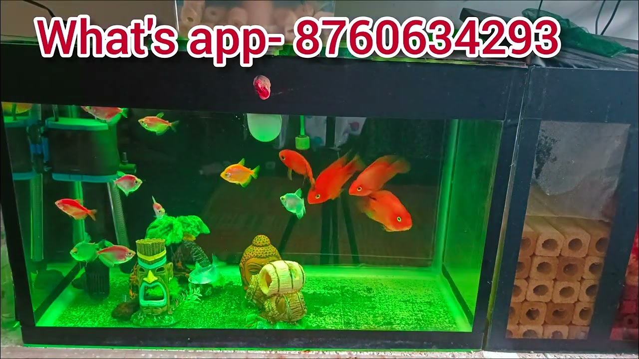 aquarium light 9 multi colors changing light 