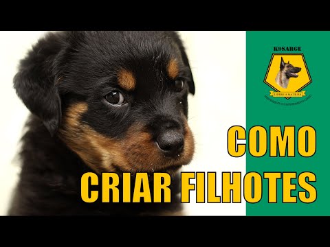 Como Adestrar um Cachorro Filhote Parte 2 #adestrador #youtube #like