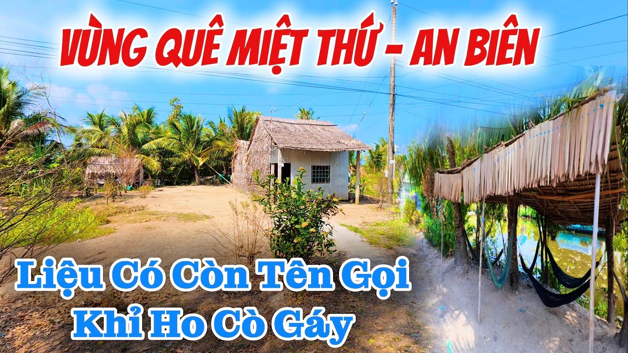 Khỉ Ho Cò Gáy Có Còn Ở Đây, Khám Phá Vùng Quê MIỆT THỨ Những Ngày Cận Tết Bính Ngọ 2026