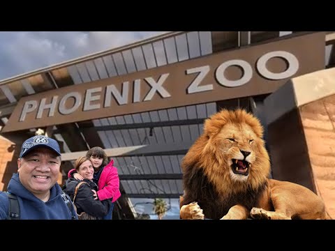 Vidéo: Le zoo de Phoenix : le guide complet