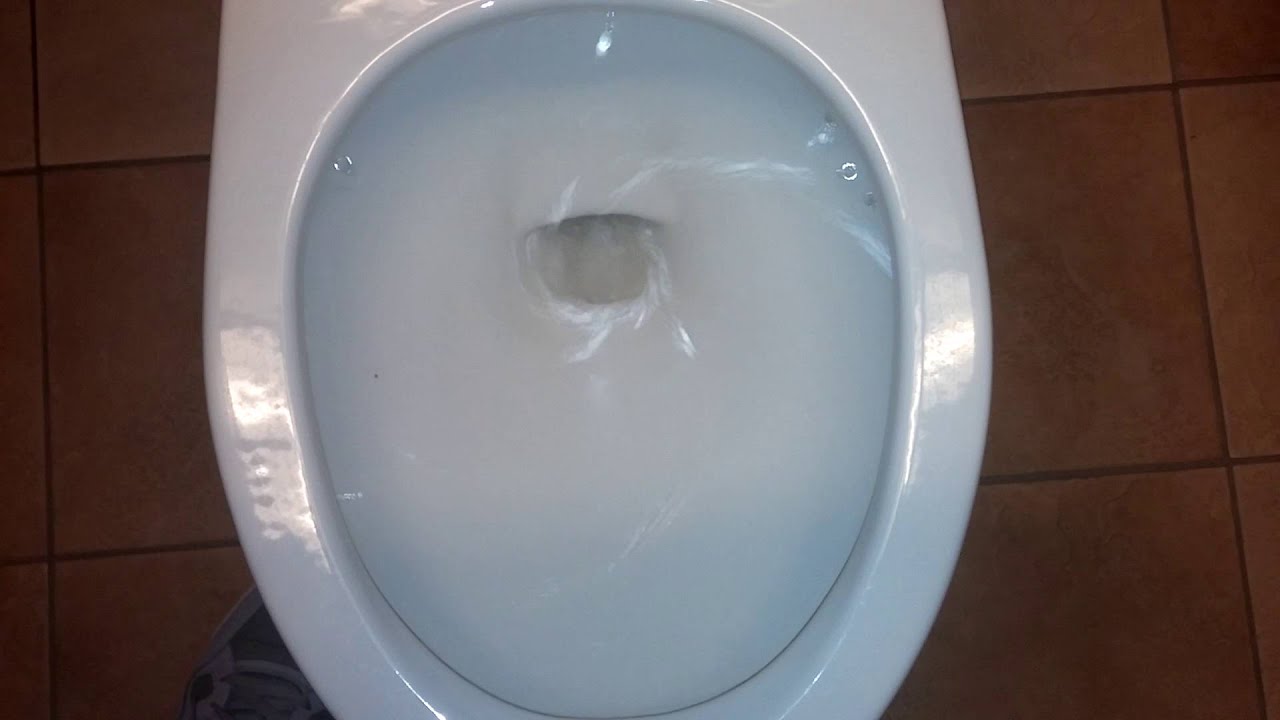 [595] 20112012 Eljer Signature (WallMounted) Toilets and Savon