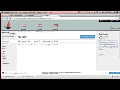 Submitting Assignments in Canvas