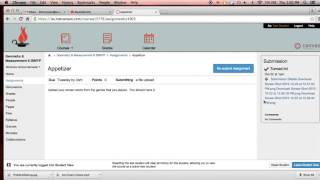 Submitting Assignments in Canvas