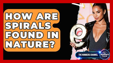 How Are Spirals Found In Nature? - The Numbers Channel
